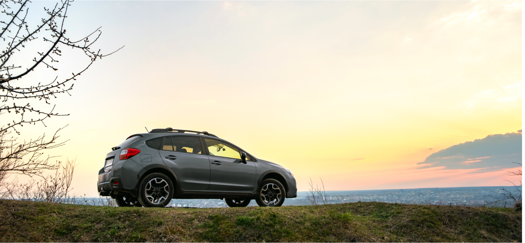 ImagenGaleríaMultiple